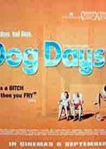 ֮/Dog Days(1970)