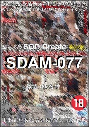 番号SDAM-077种子