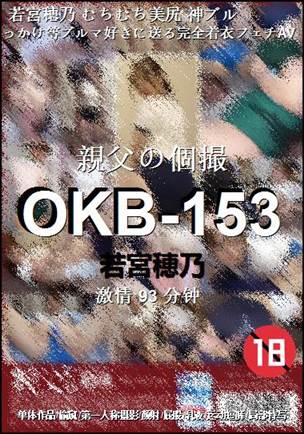 ����OKB-153����
