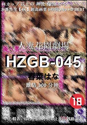 HZGB-045