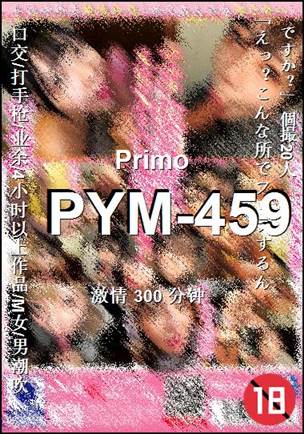 番号PYM-459种子