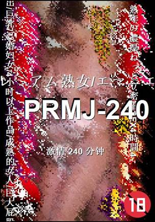 番号PRMJ-240种子