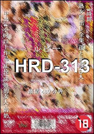 番号HRD-313种子