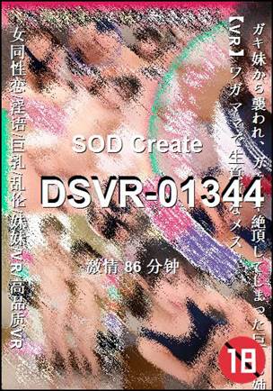 番号DSVR-01344种子