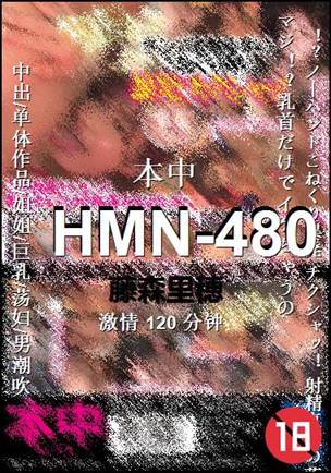 HMN-480