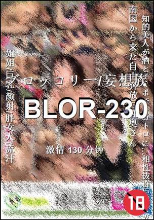 番号BLOR-230种子