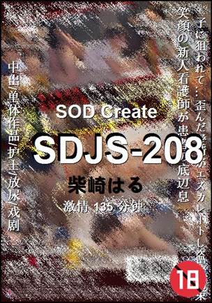 SDJS-208