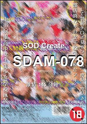 番号SDAM-078种子