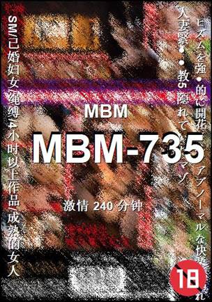 番号MBM-735种子