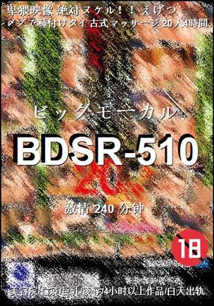 番号BDSR-510种子
