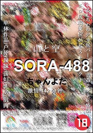 SORA-488