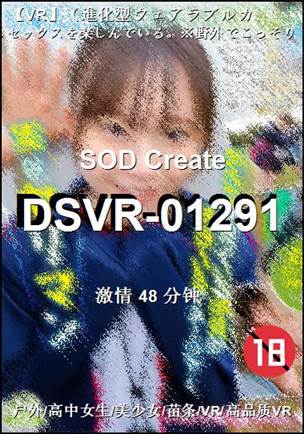 番号DSVR-01291种子