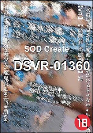 番号DSVR-01360种子