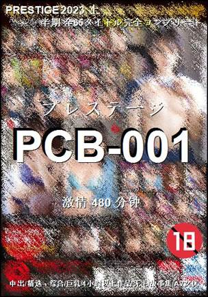番号PCB-001种子