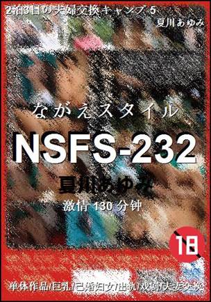 ����NSFS-232����
