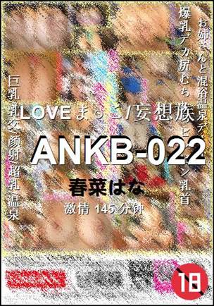 ANKB-022