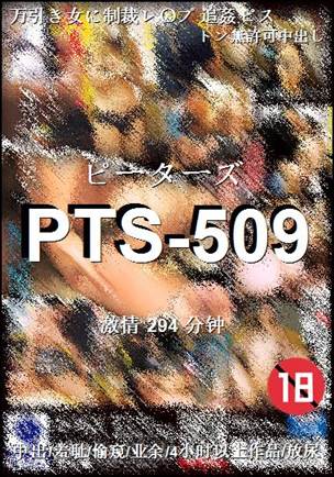 番号PTS-509种子