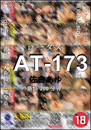 ����AT-173����