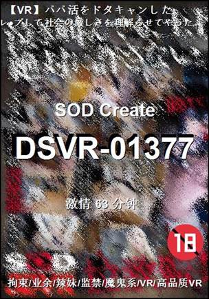番号DSVR-01377种子