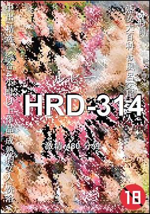 番号HRD-314种子