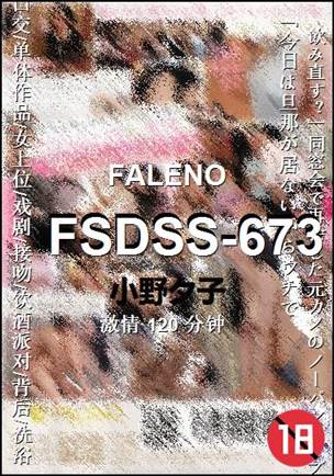 FSDSS-673