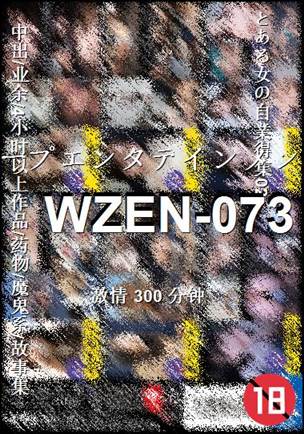 番号WZEN-073种子