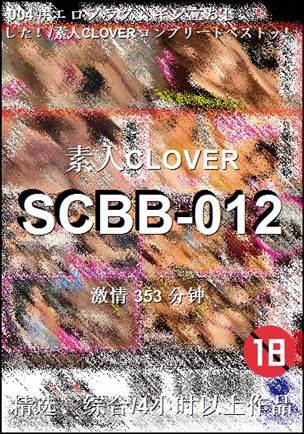 番号SCBB-012种子