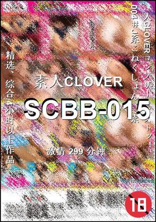 番号SCBB-015种子