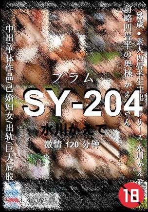 SY-204