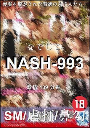 番号NASH-993种子