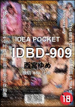 ����IDBD-909����