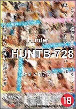 番号HUNTB-728种子