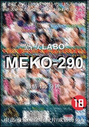 MEKO-290