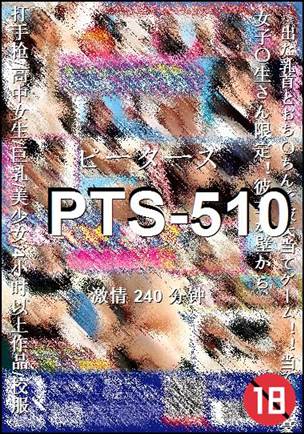 番号PTS-510种子