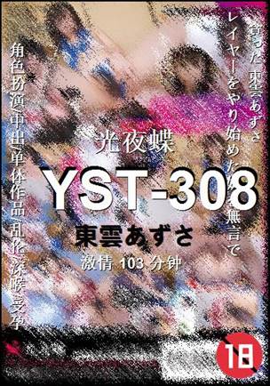 YST-308