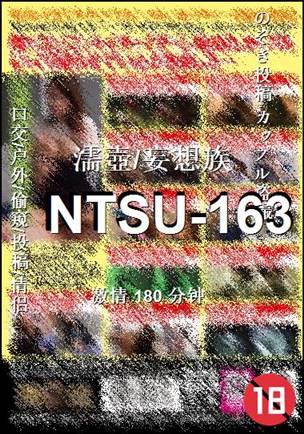 NTSU-163