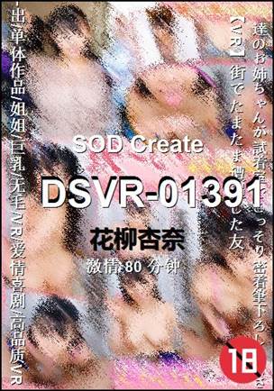 DSVR-01391