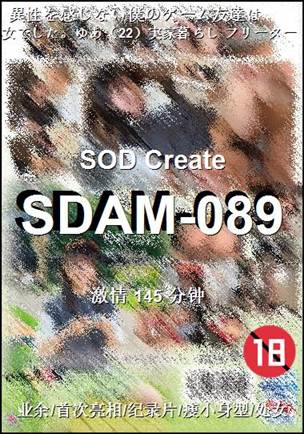番号SDAM-089种子