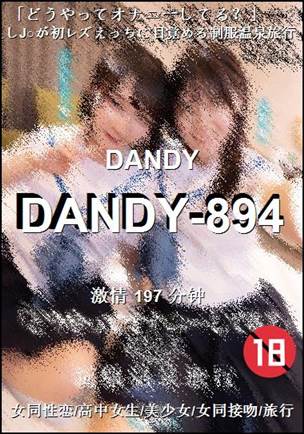 番号DANDY-894种子