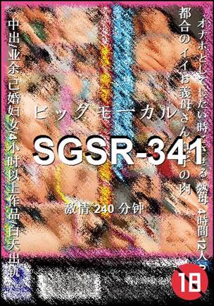 番号SGSR-341种子
