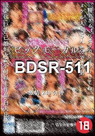 番号BDSR-511种子
