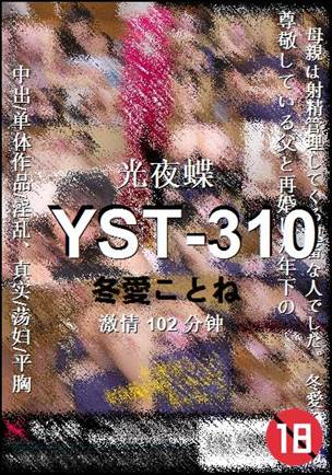 YST-310