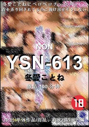 YSN-613