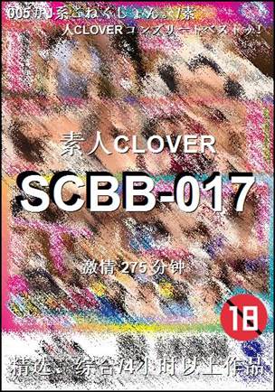 番号SCBB-017种子