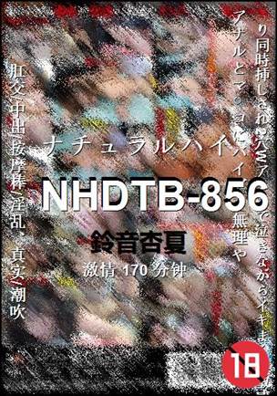 NHDTB-856