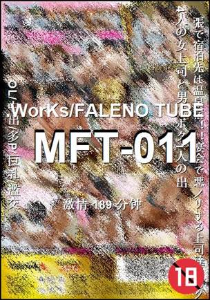 MFT-011