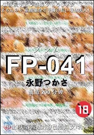 FP-041