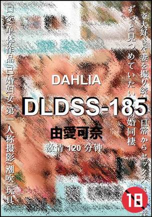 DLDSS-185