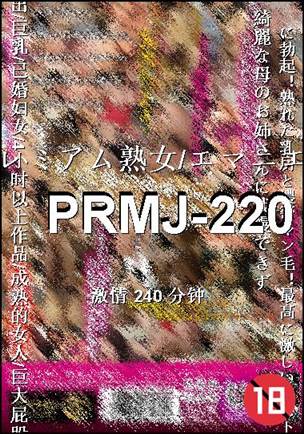 番号PRMJ-220种子
