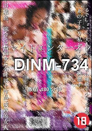 番号DINM-734种子